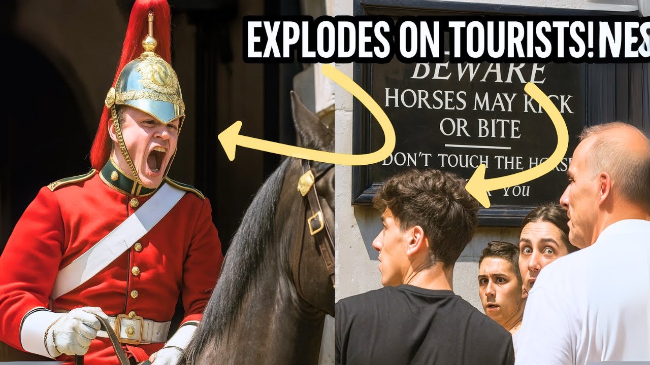Royal Guard LOSES IT After Tourist Goes Too Far! | Horse Guards UK