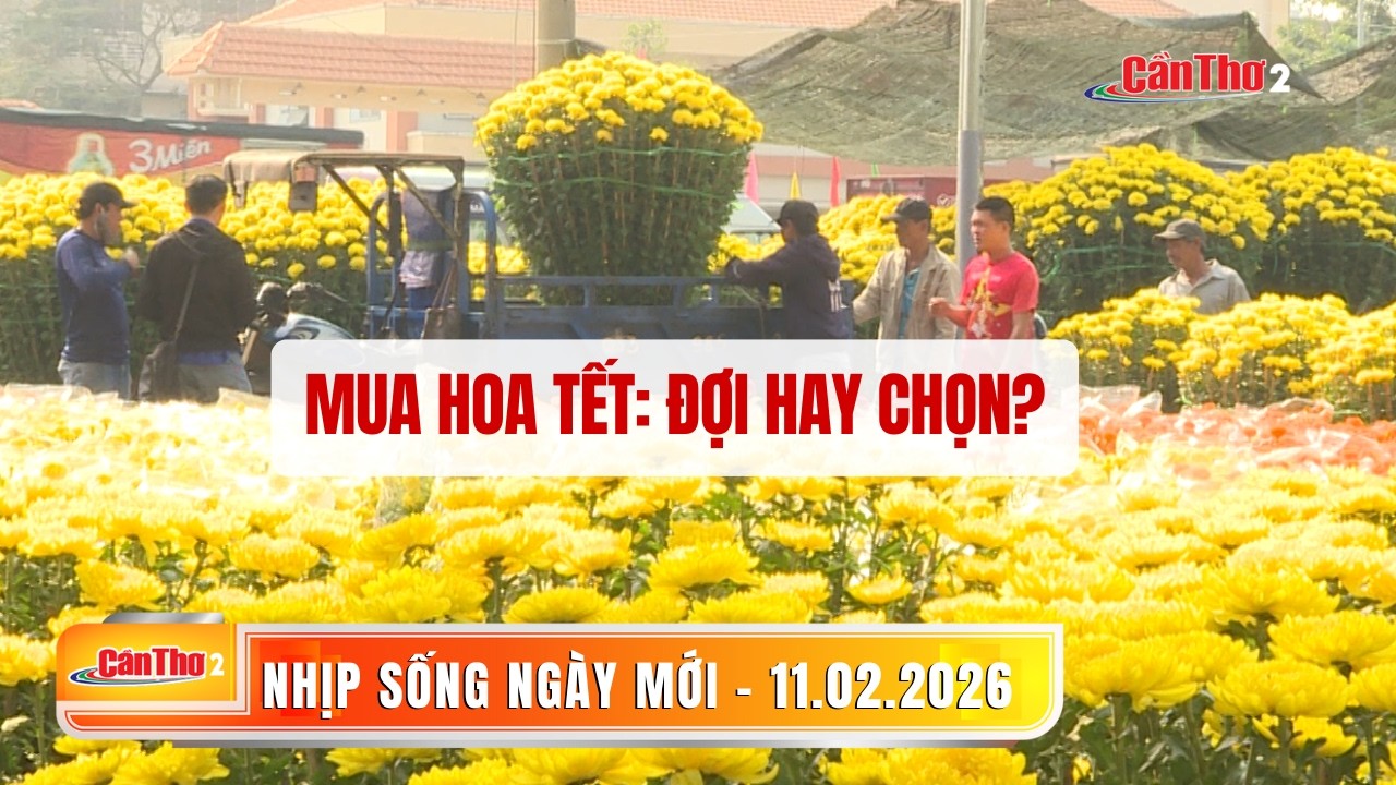 Mua hoa Tết: đợi hay chọn? | Nhịp sống ngày mới 11/02/2026 | Cần Thơ