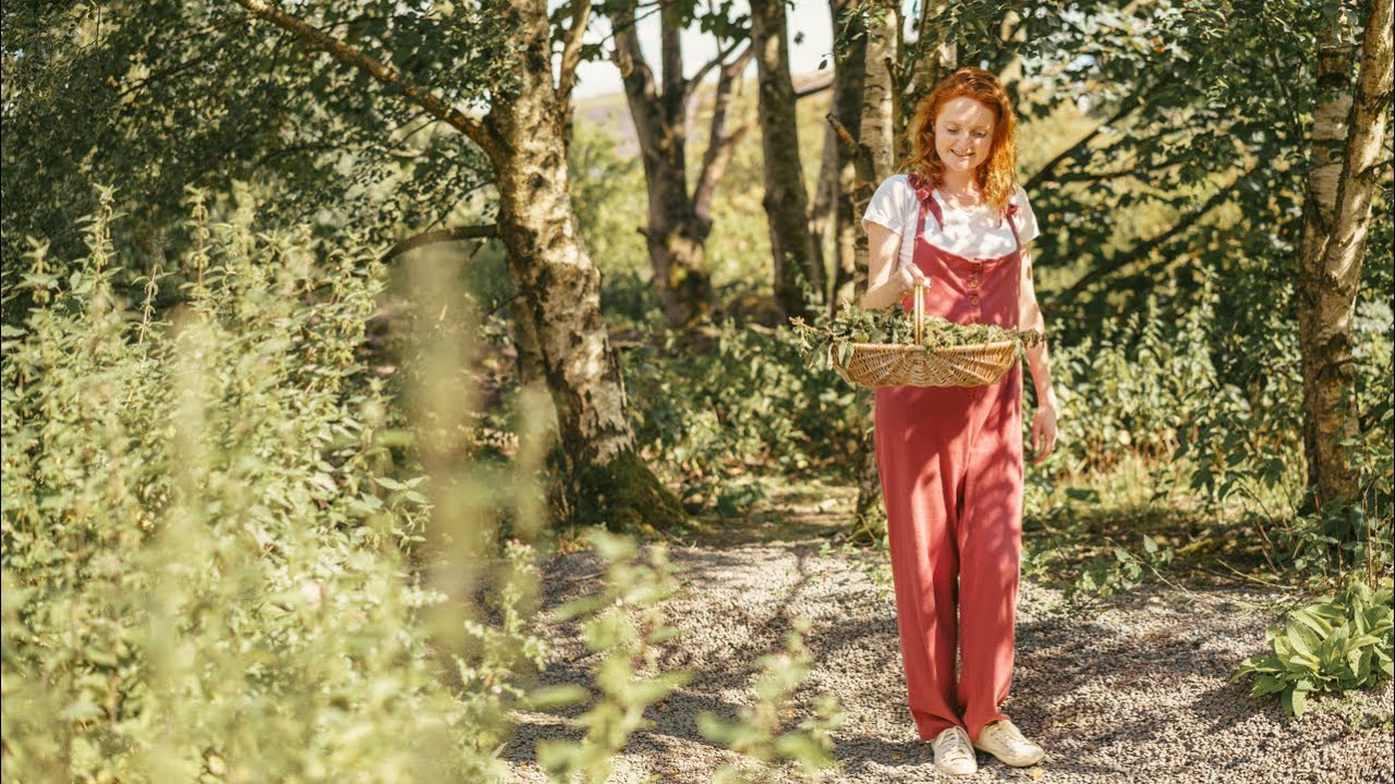Prepping for winter on our narrowboat by gathering this free WILD superfood