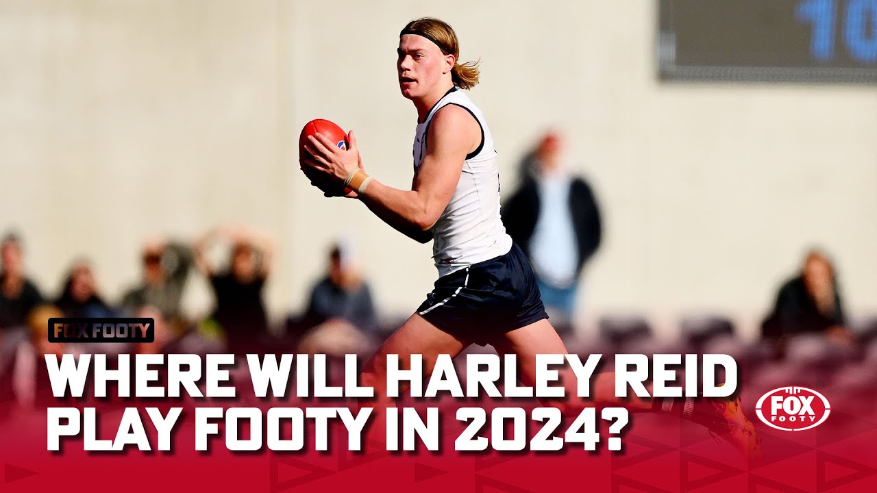 How much is too much? What should North give up to draft Harley Reid I Trading Day I Fox Footy