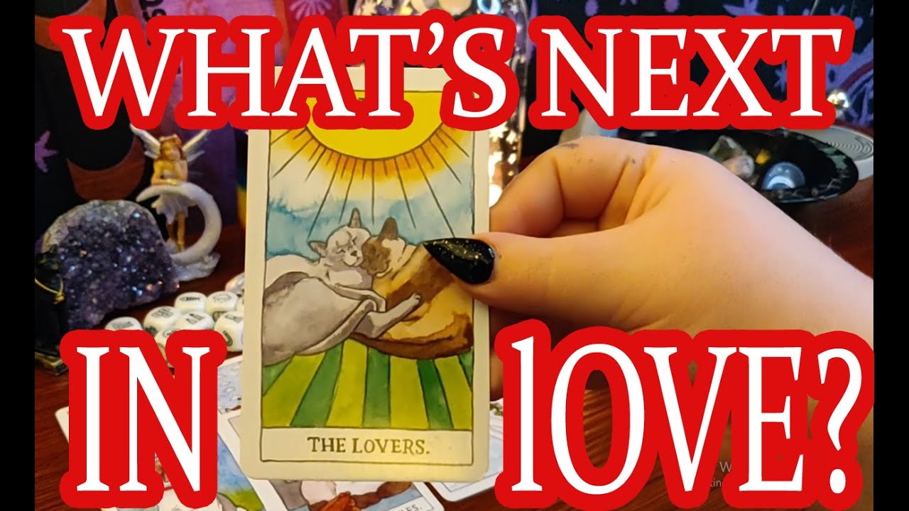 🔮WHAT IS NEXT IN LOVE? ❤🔮Pick a Card 🌹 Tarot Love Reading 🧿 Your Next Relationship 🔮
