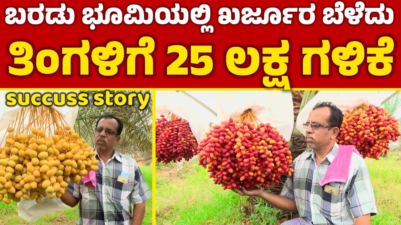 success story