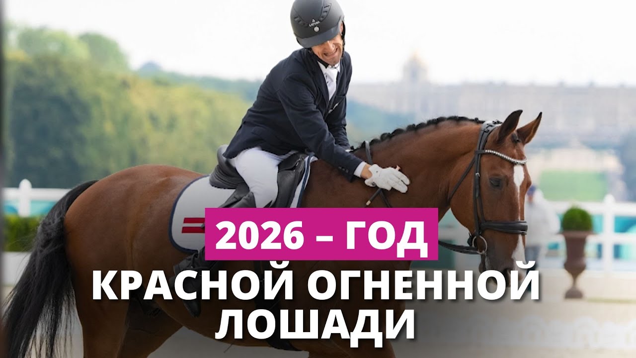 Год Красной огненной лошади. Как живет символ года в Латвии?