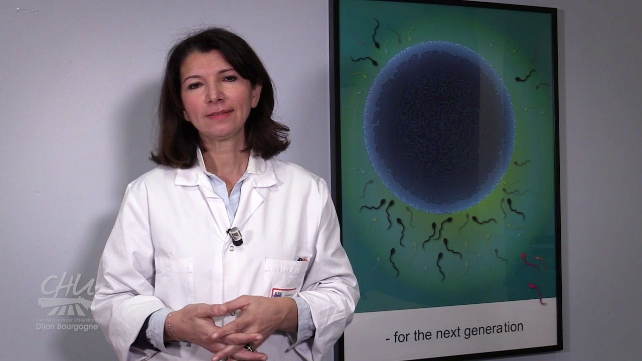 L' Assistance Médicale à la Procréation