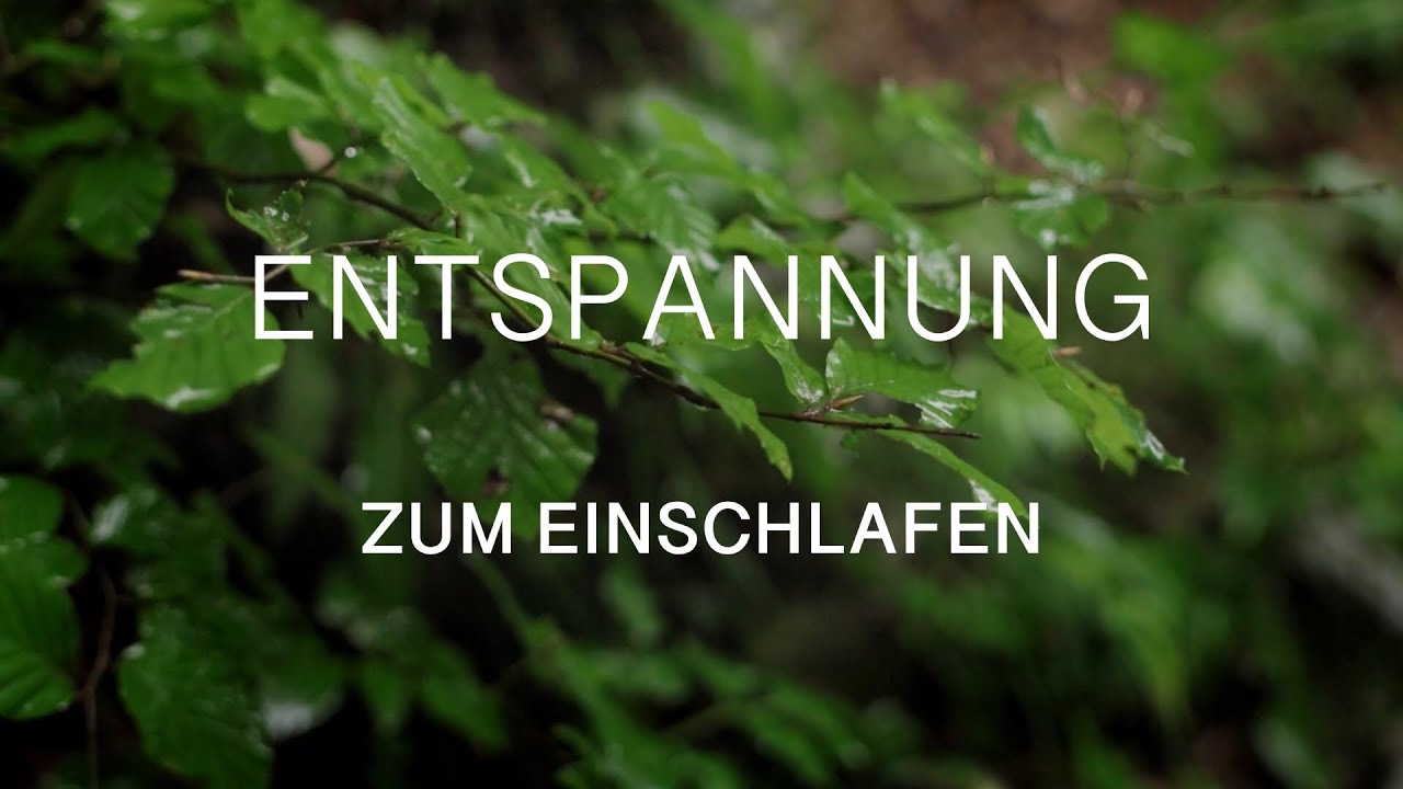 Entspannung zum Einschlafen | Tiefenentspannung mit K&ouml;rperreise f&uuml;r einen erholsamen Schlaf