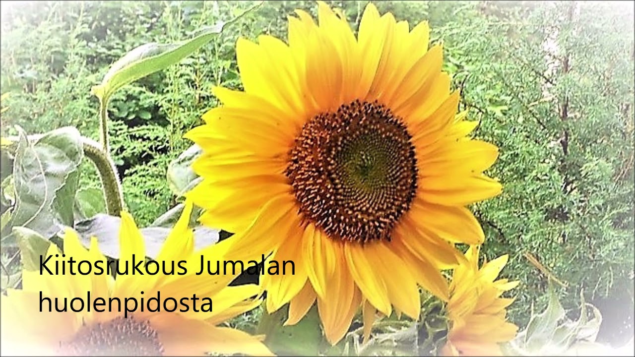 Kiitosrukous Jumalan huolenpidosta