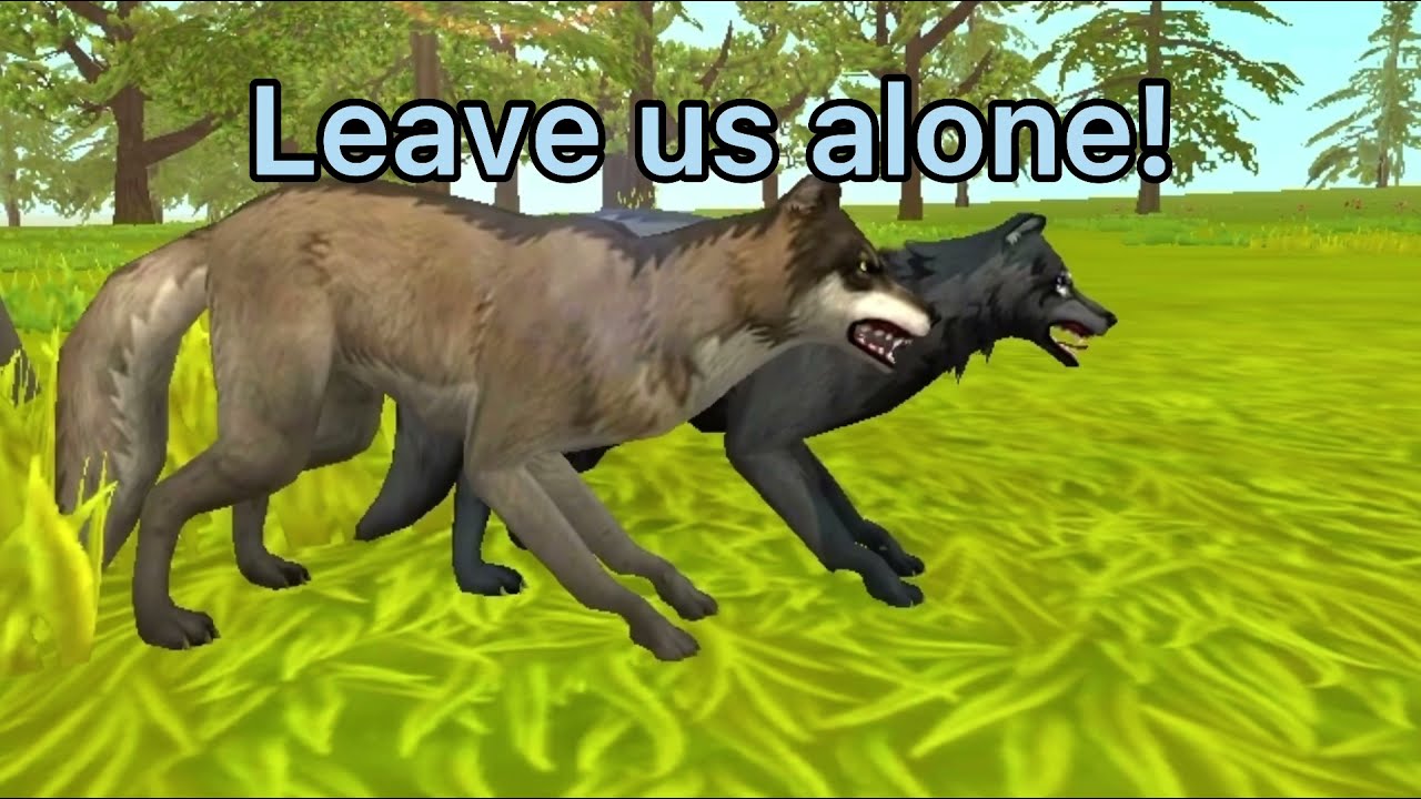 Outside A WildCraft Music Video