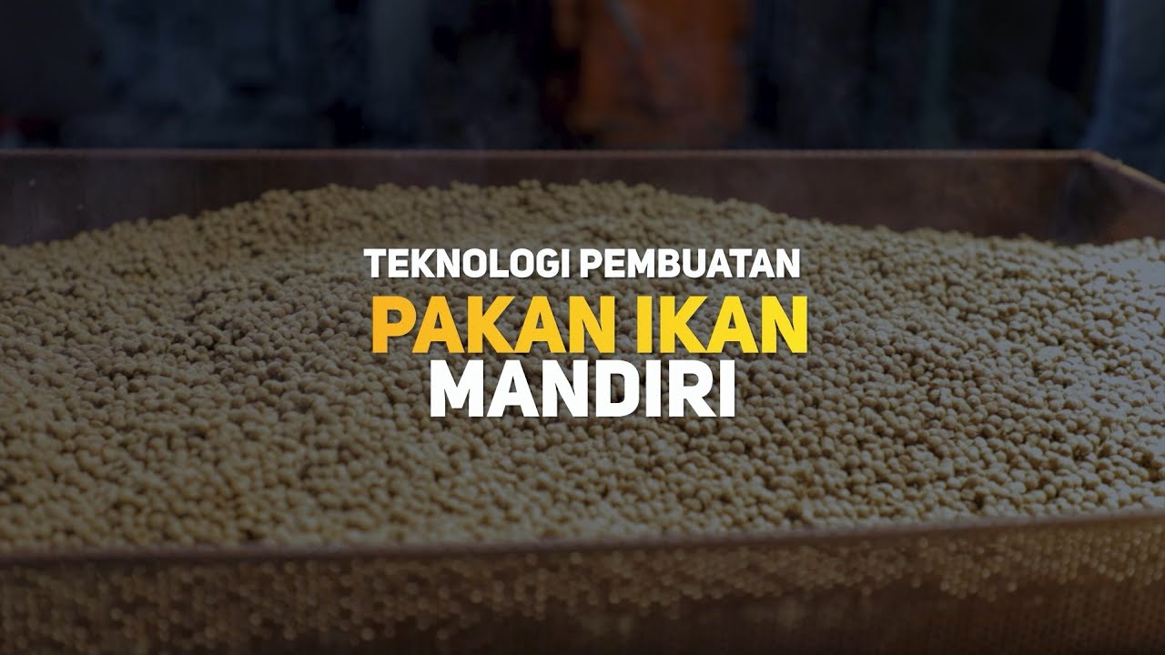 Teknologi Pembuatan Pakan Ikan Mandiri