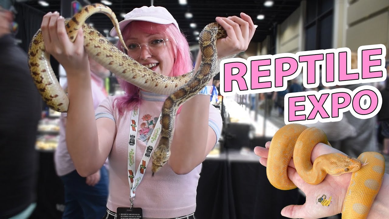 1000s of Reptiles at this EXPO! (NARBC Tinley Park, March 2024)