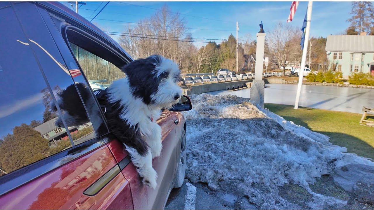 Briggs Goes To The Barnard General Store