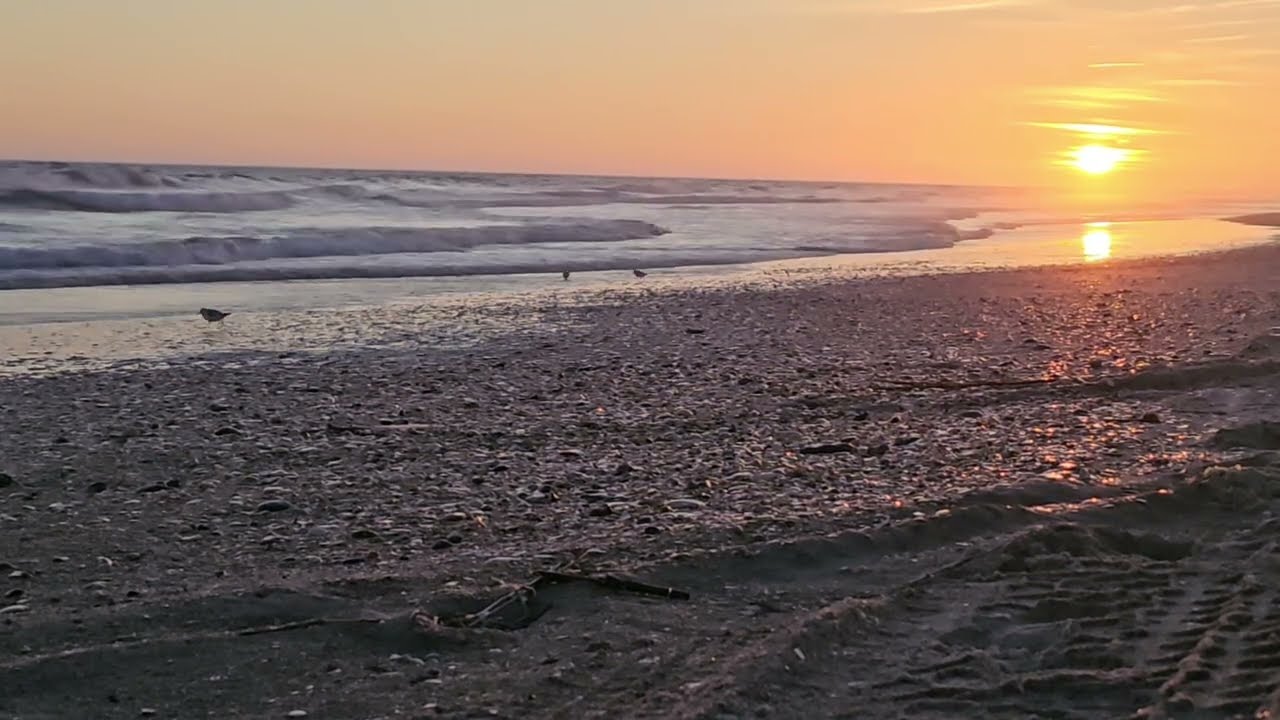 Sunset Ocean Waves 🌅 Natural Beach Sounds | 1 Hour Looped Coastal Ambience