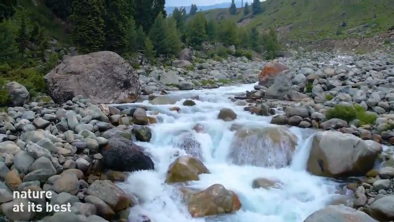 nature of Kashmir