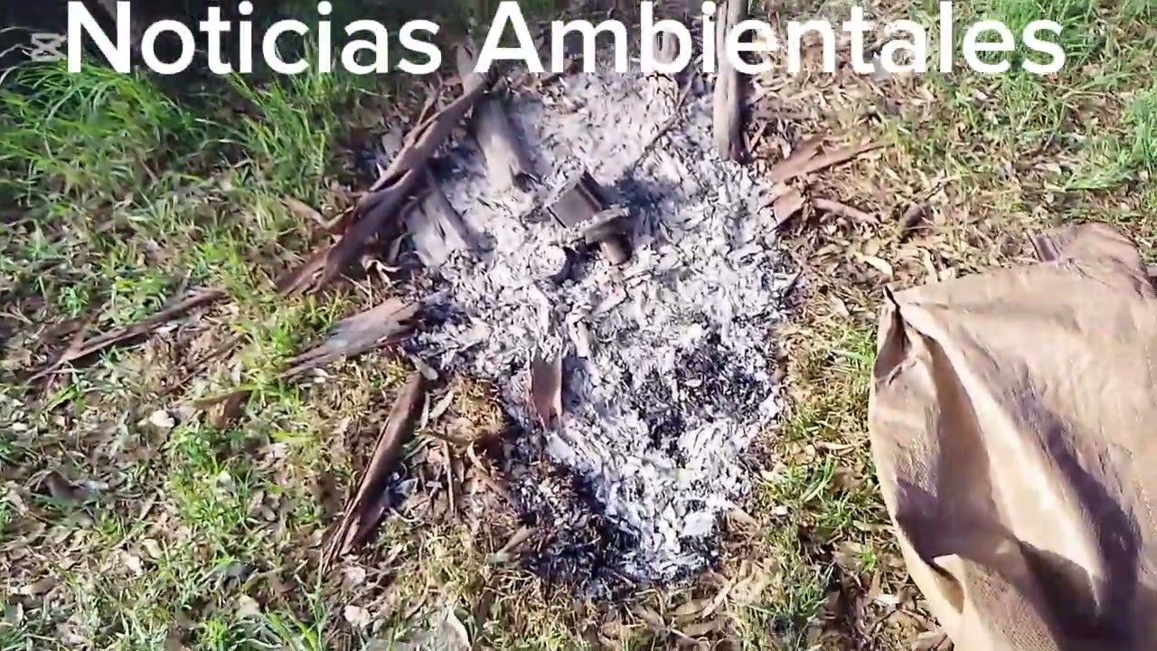 En el nombre de Dios