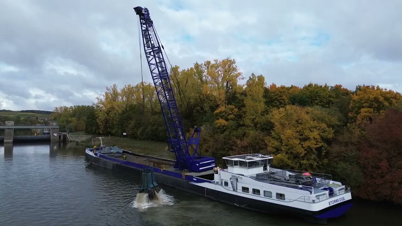 Stormvogel Wipfeld-Dettelbach 2025-12