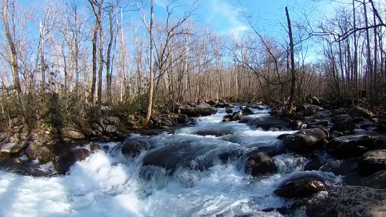 Theta V 4k 360&deg; Creek