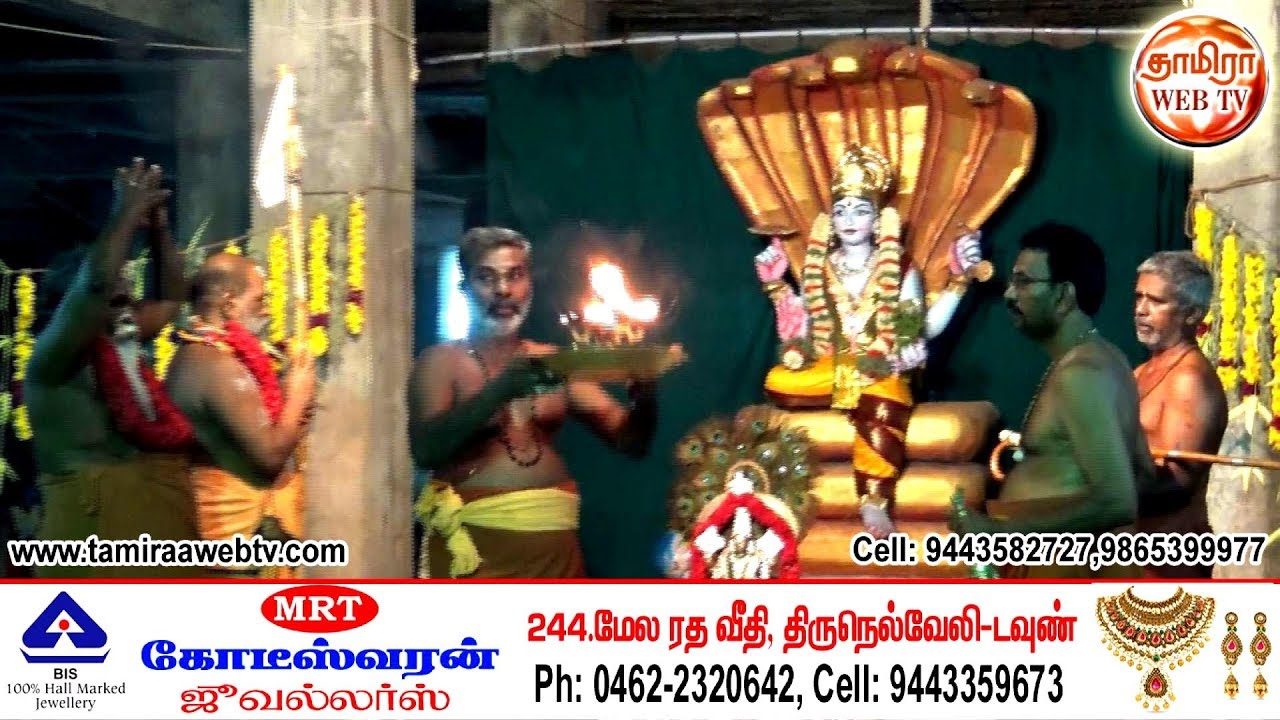 திருநெல்வேலி எட்டெழுத்துப் பெருமாள் கோசாலையில் கிருஷ்ணஜெயந்தி விழா கொண்டடாடம்