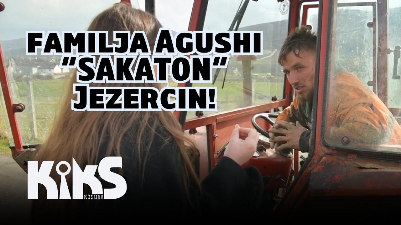 Burra, gra e fëmijë prejnë drunj ilegalisht, familja Agushi “SAKATON” Jezercin!