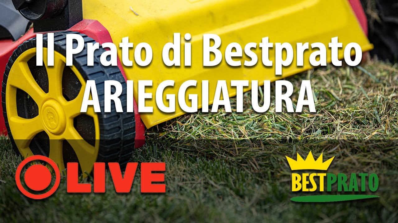 LA RIGENERAZIONE DEL PRATO DI BESTPRATO. ARIEGGIATURA!