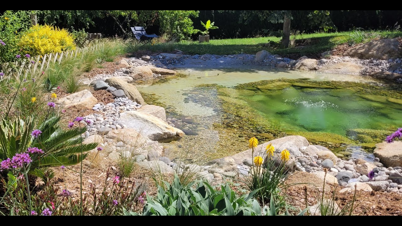 Bassin de baignade naturelle en Bretagne | Lagon en sable avec filtration biologique
