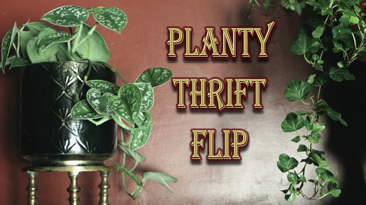 DIY making over thrifted planters to match my victorian interior | Madaline Macabre