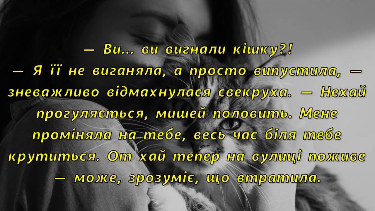 🍋Кішка мене проміняла на тебе, весь час біля тебе крутиться. От хай тепер на вулиці поживе