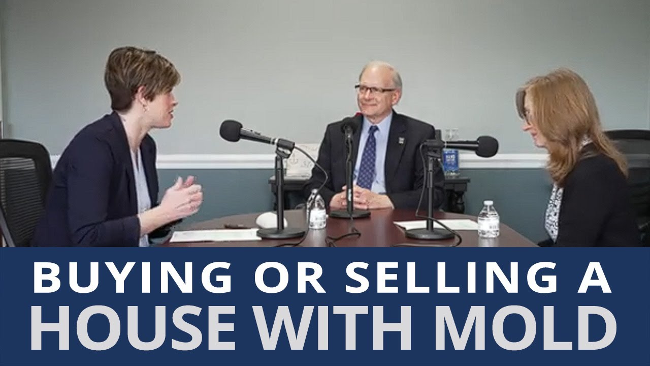 The Secret to Buying or Selling a House with Mold