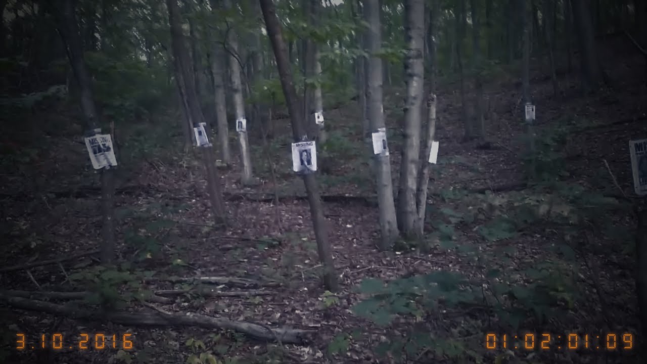 6 самых тревожных находок в лесу, снятых на камеру