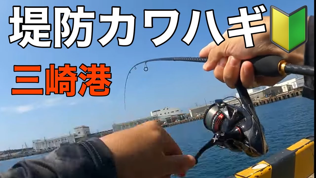 【三崎港】堤防カワハギ釣り🔰 岸壁から良型を狙える釣り方と仕掛けを公開!!【かわはぎ釣り】