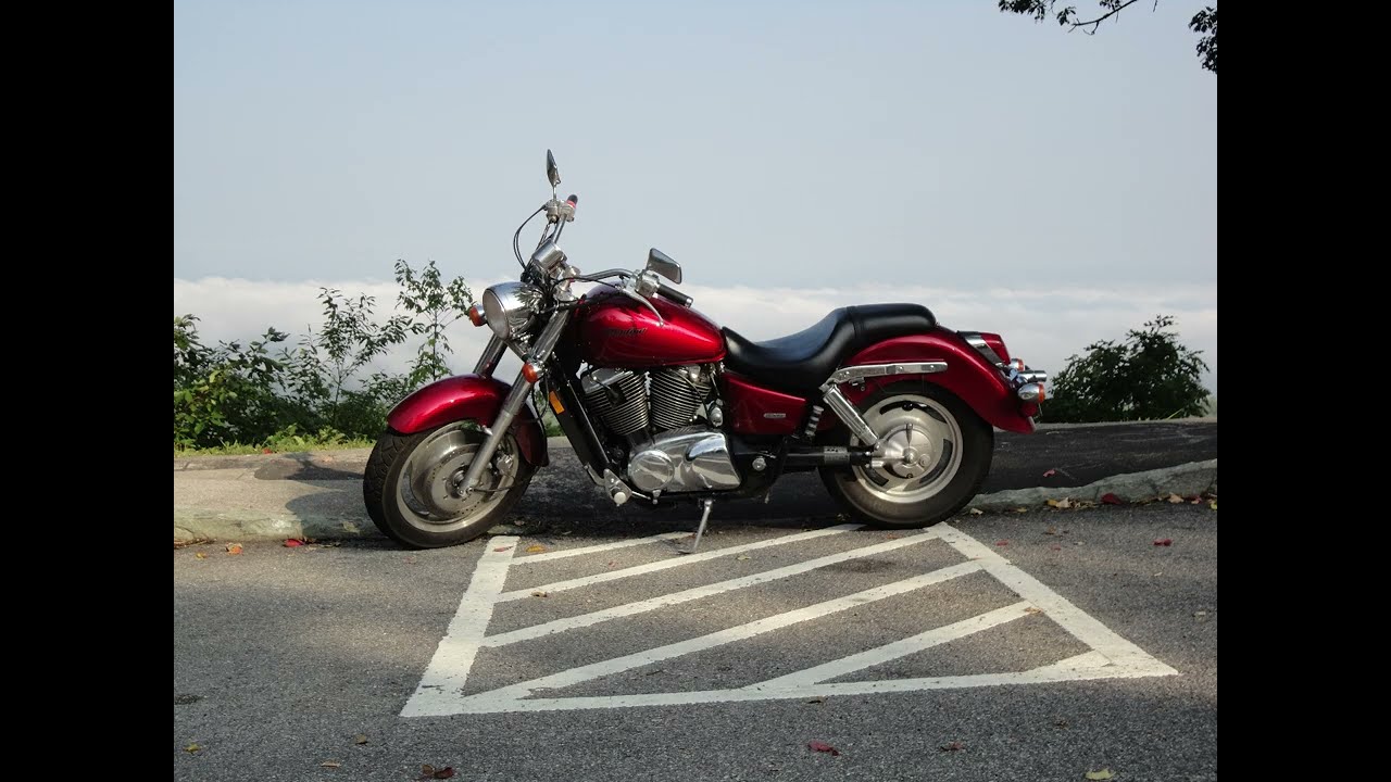 Human Flyswatter Chap 13: Tennessee, Tail of the Dragon, and Campground Bear