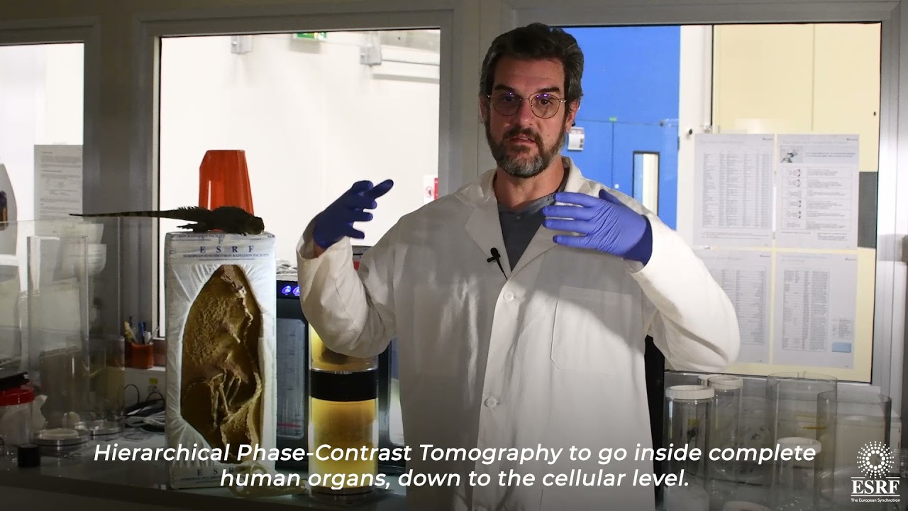 Seeing the human body as never before