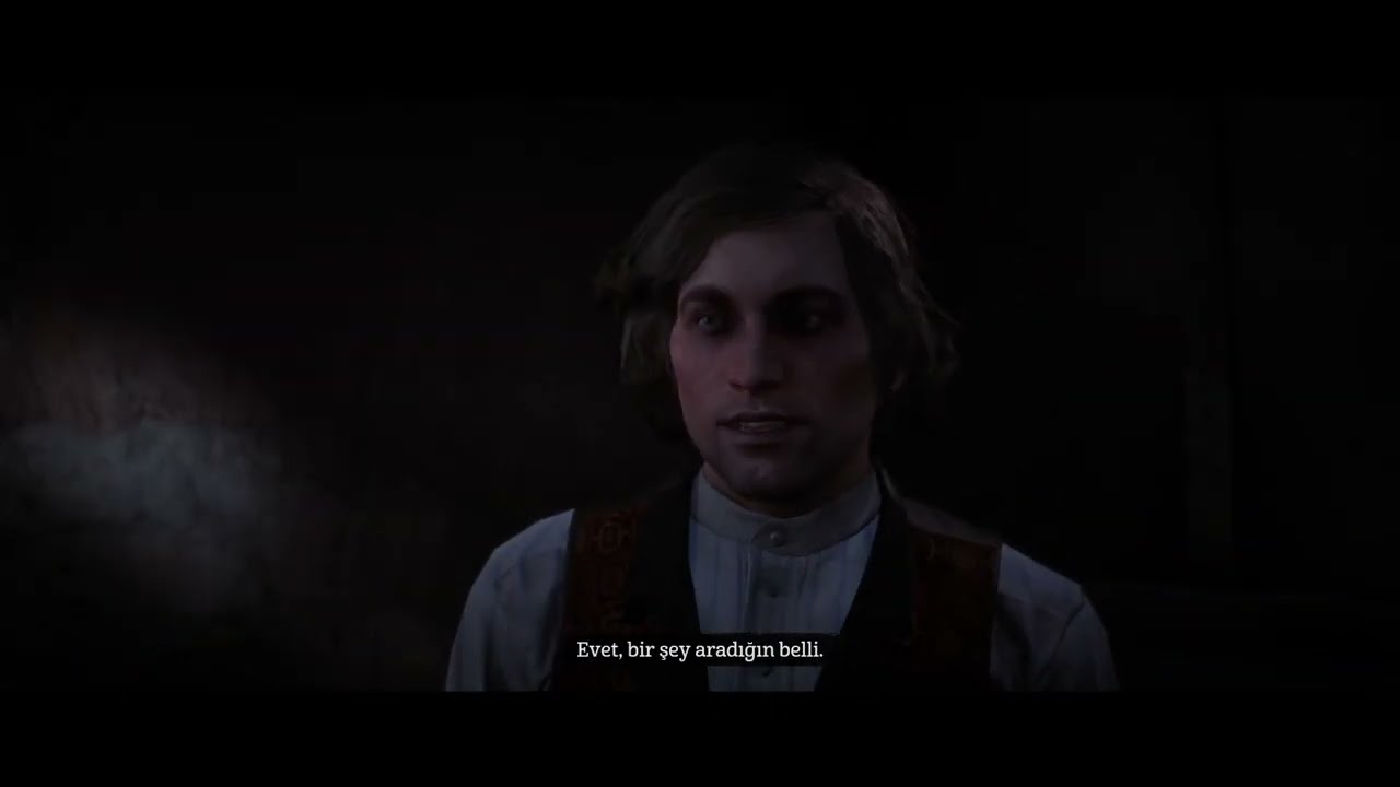 Red Dead Redemption 2  -15