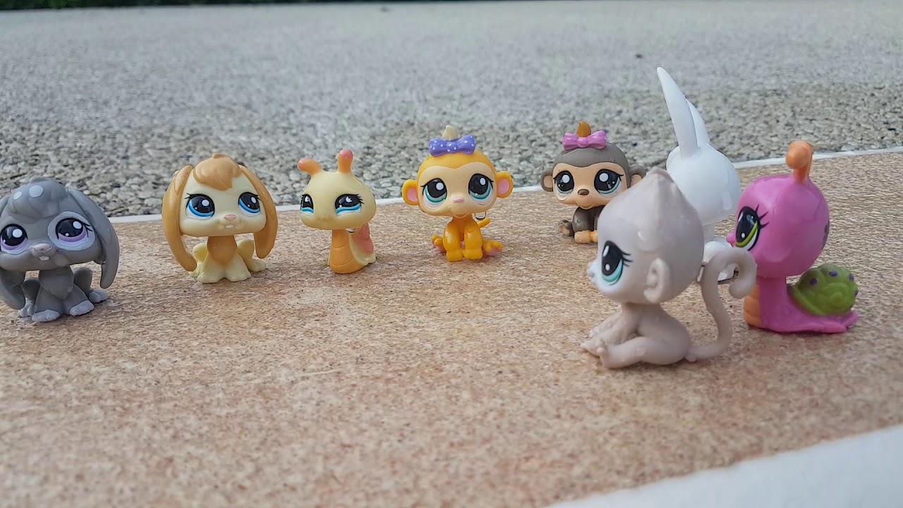 LPS:bêtise à la piscine.p2.