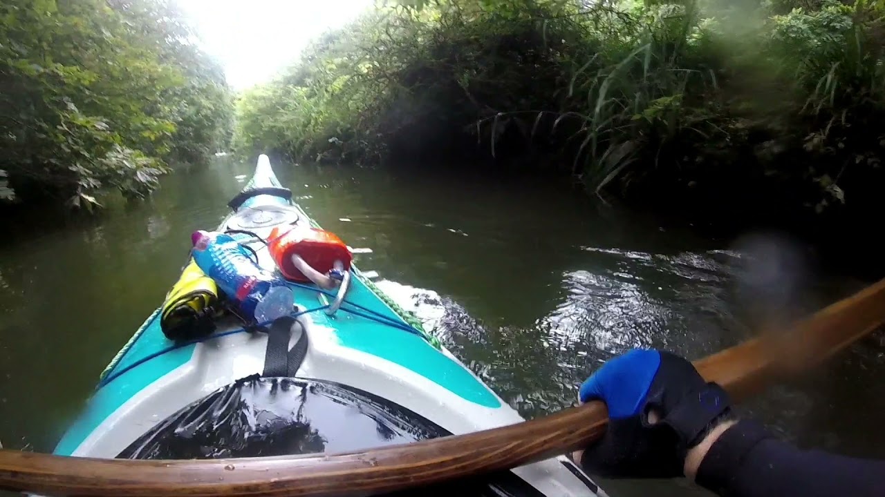 kayaking from Stoke Gabriel