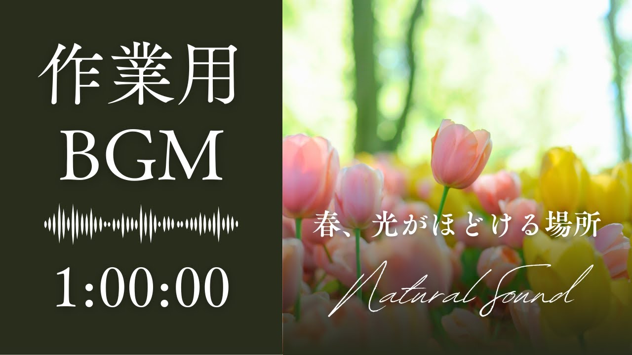 作業用・集中・瞑想BGM｜春、光がほどける場所｜穏やかなアンビエントBGM