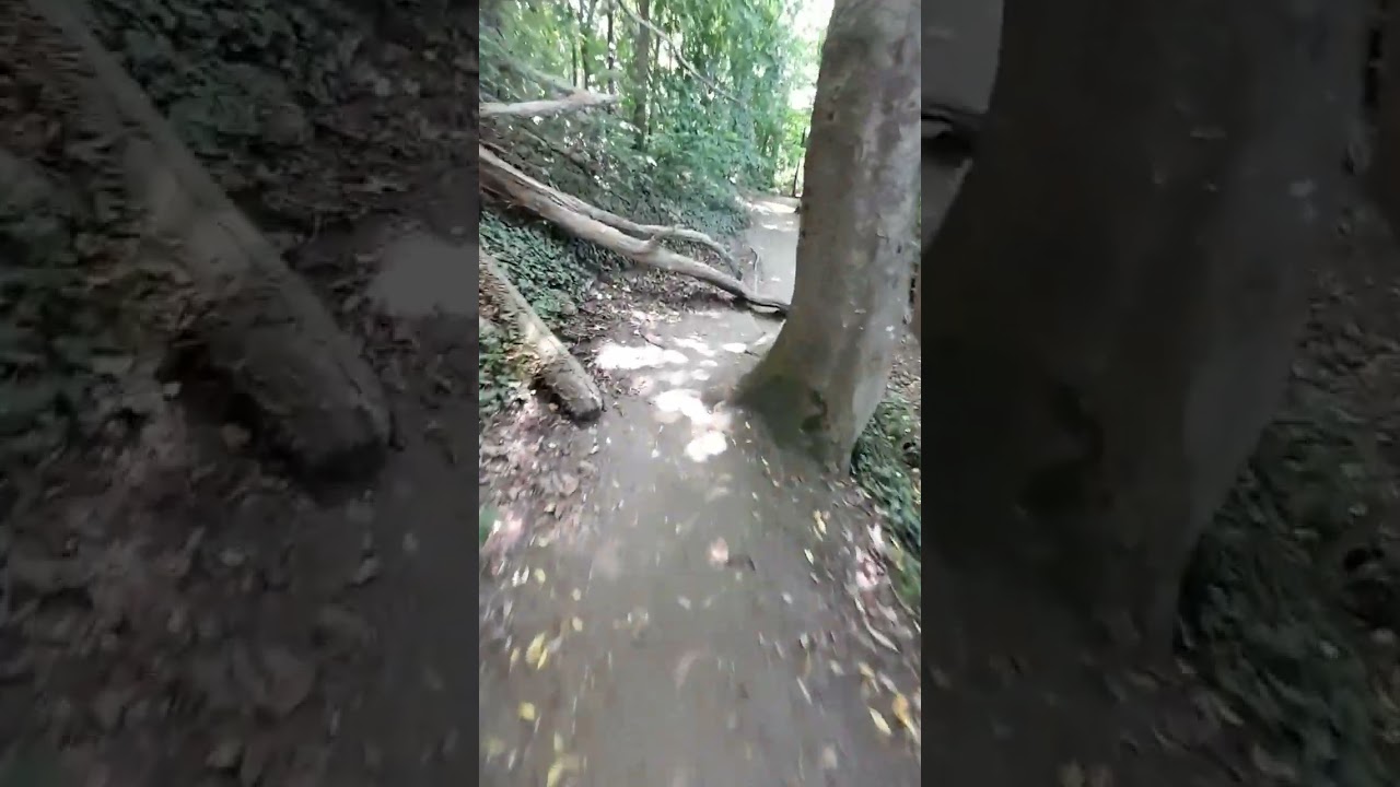 Traumpfade 🌟 Dream paths