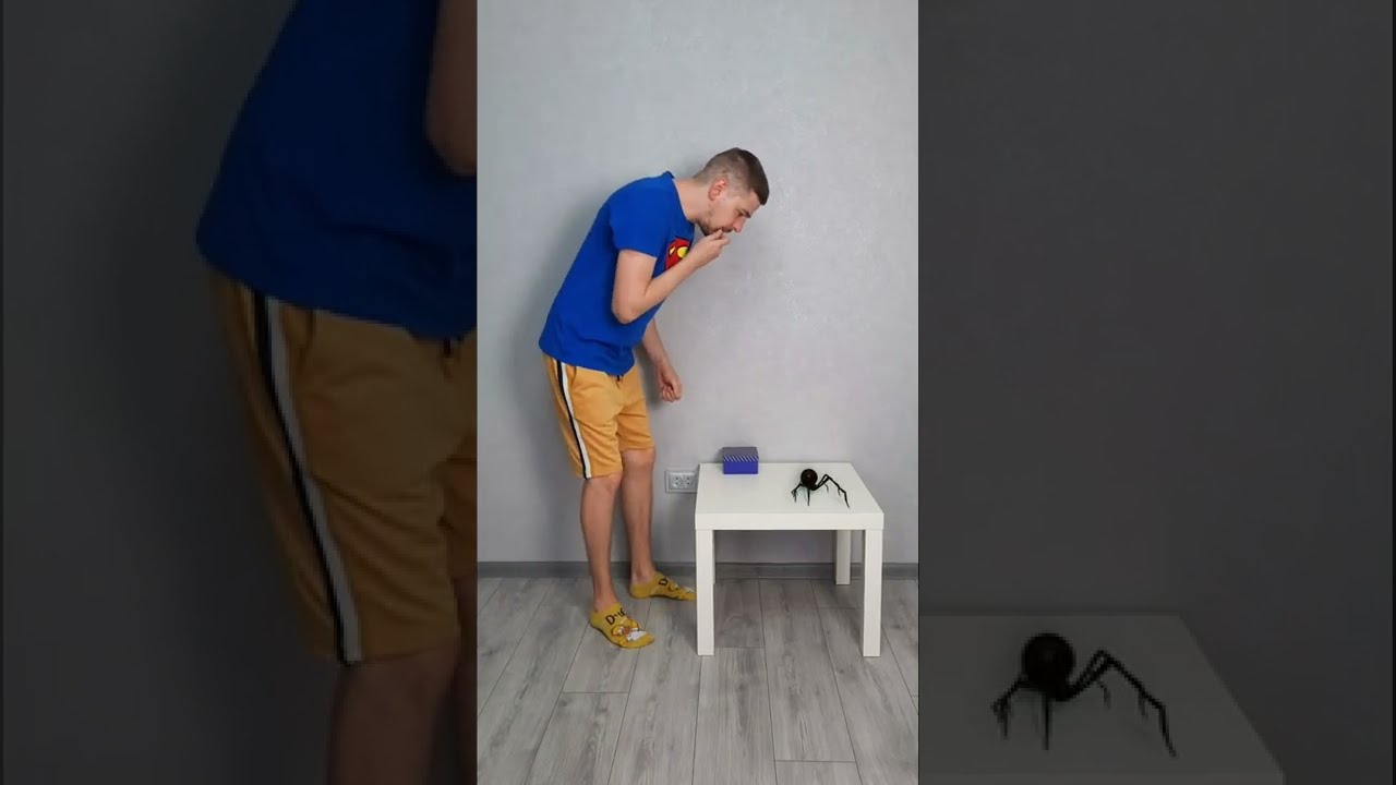 Giant SPIDER attacked Dad #shorts