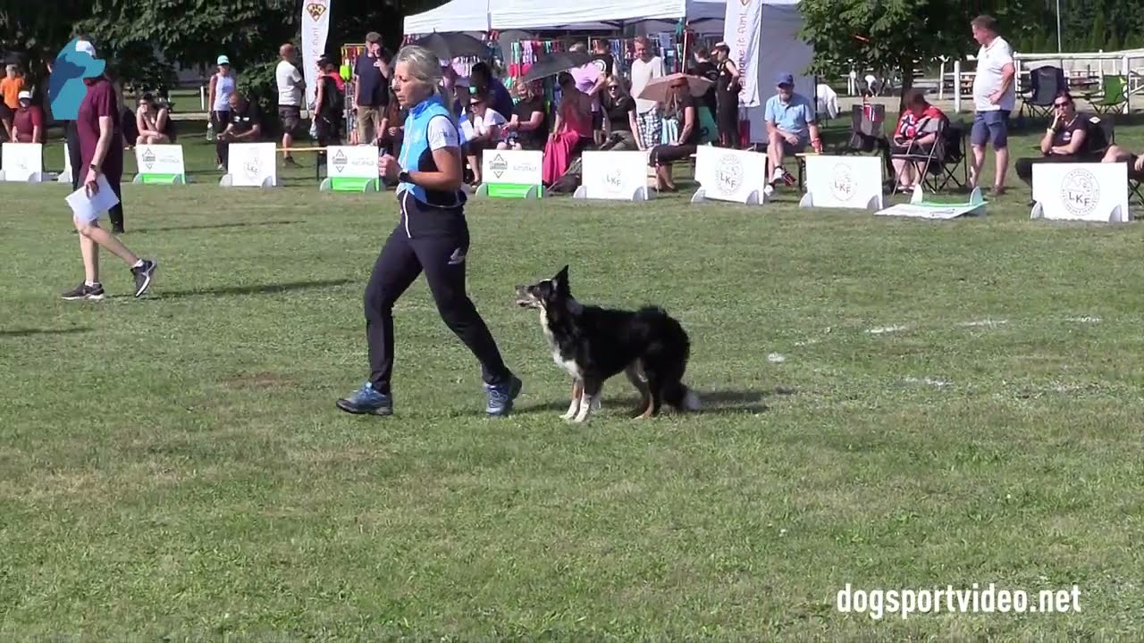 Qualifications – Simona Capacci + Gingerbell Voodoo Child / Border Collie – ITALY