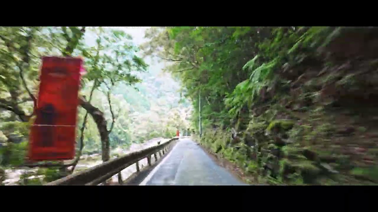 [シネスコ版]愛媛･高知県道4号 宿毛津島線[倍速](2025.3.23(愛媛)･7.5(高知))