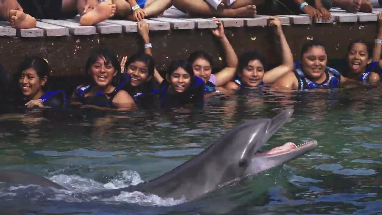 Visitas didácticas Delphinus: Xel-Ha l Delphinus