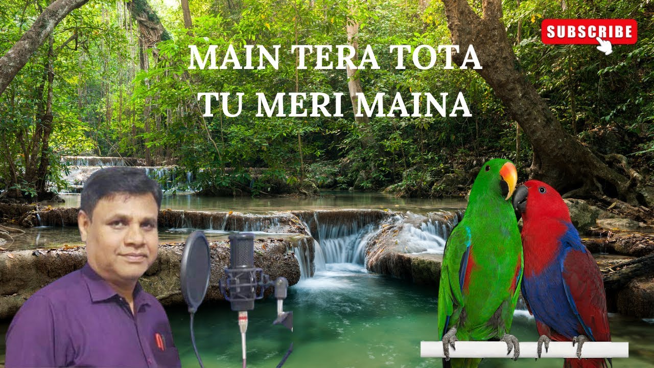 Main tera tota tu meri maina