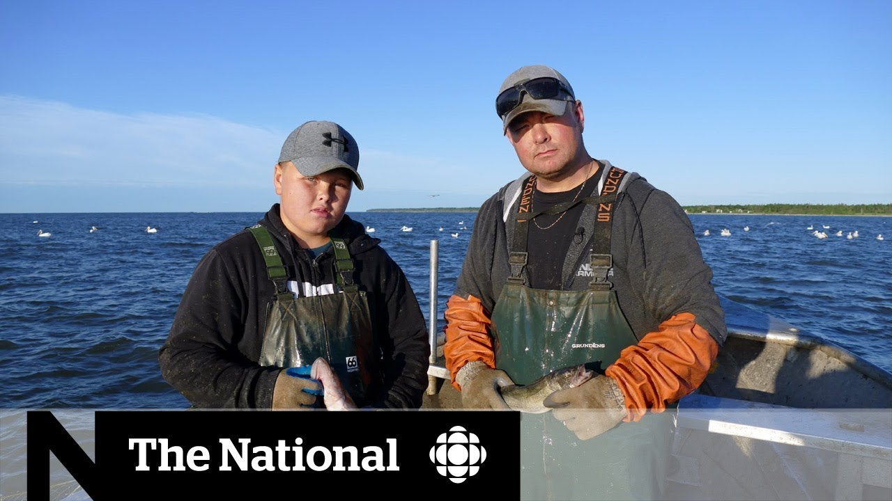 Manitobans at odds over Lake Winnipeg walleye