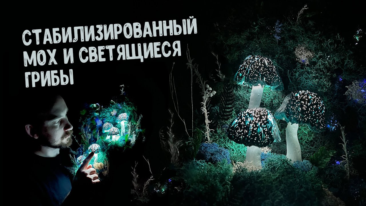 Картина из стабилизированного мха и Светящихся Грибов. Диорама