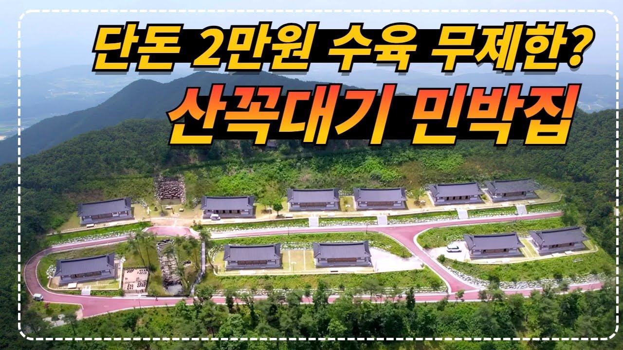 충북 보은ㅣ저녁 + 아침을 단돈 2만원으로 무제한 수육과 공짜로 산양삼까지 먹는 산꼭대기 민박집