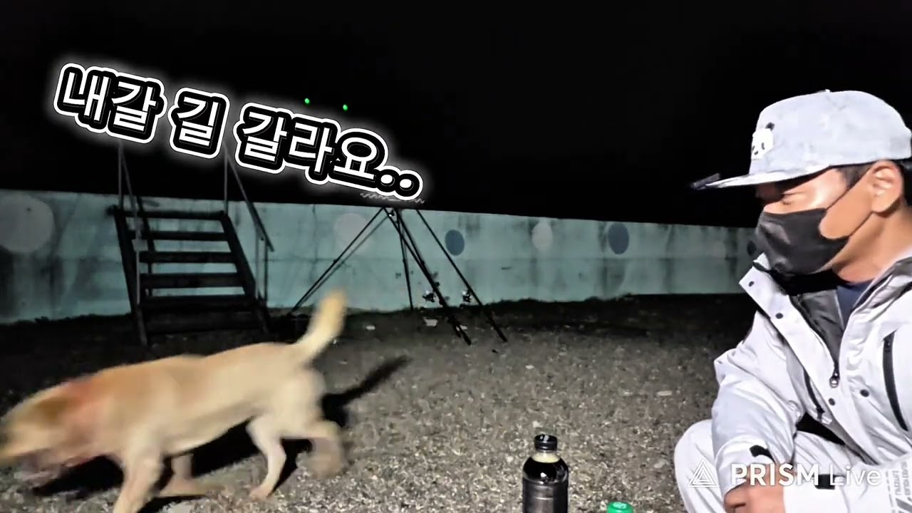 경주에서 또 타작해뿟다!!#원투낚시 #취미 #스포츠