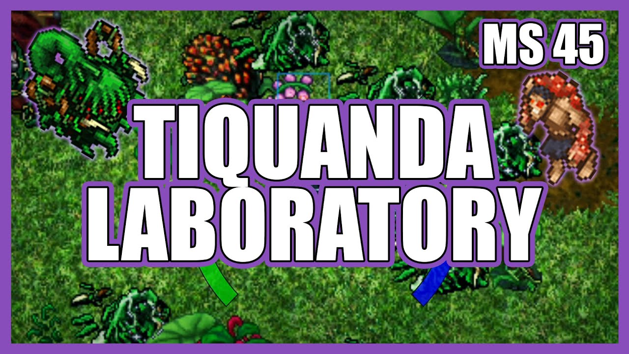 Tiquanda Laboratory SOLO MS 45 | 110k RAW & 30-50k Profit
