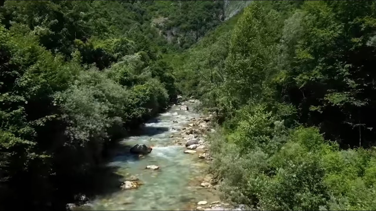 Petrit Çarkaxhiu - DUL BEHARI