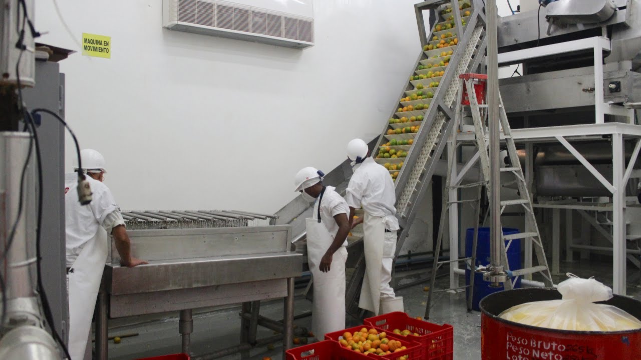 Planta Procesadora Frutícola, Parte 3: Extracción de la Pulpa