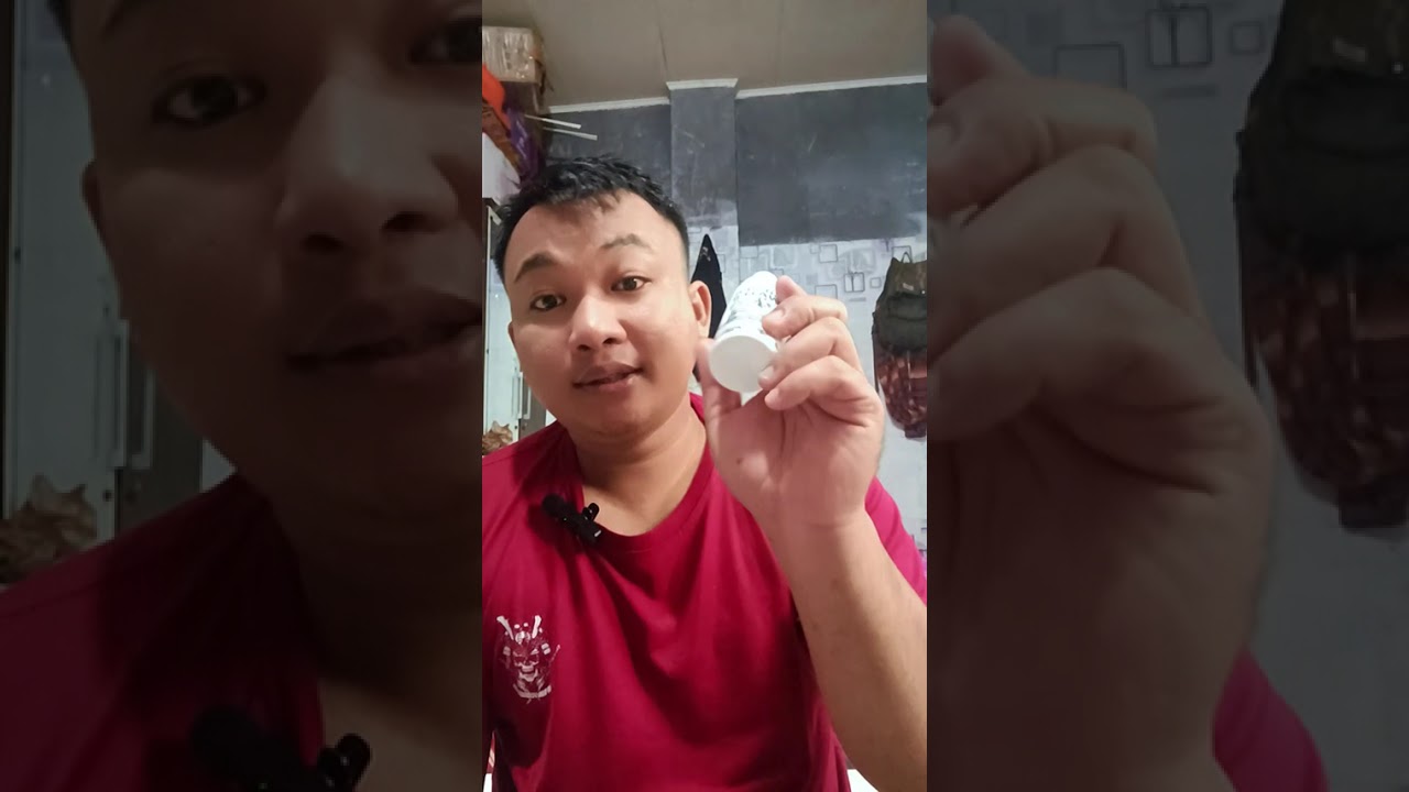 Musim hujan musim virus kucing 