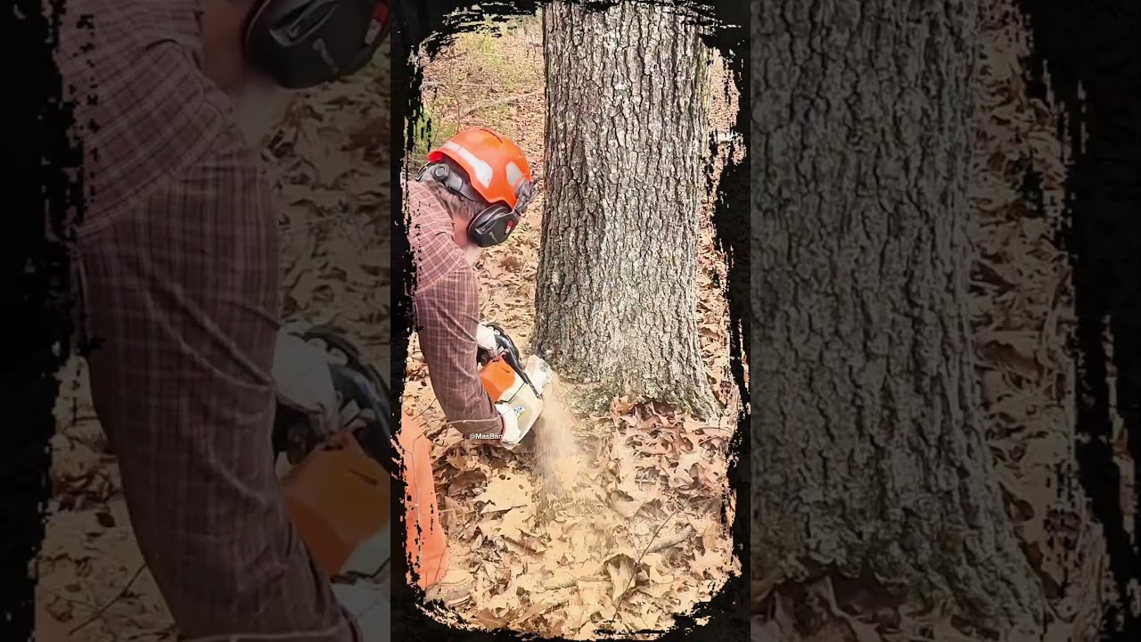 Осень была поистине восхитительной.