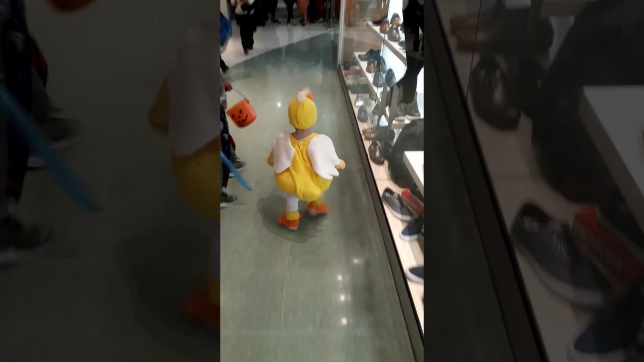 Disfraz de pato gracioso